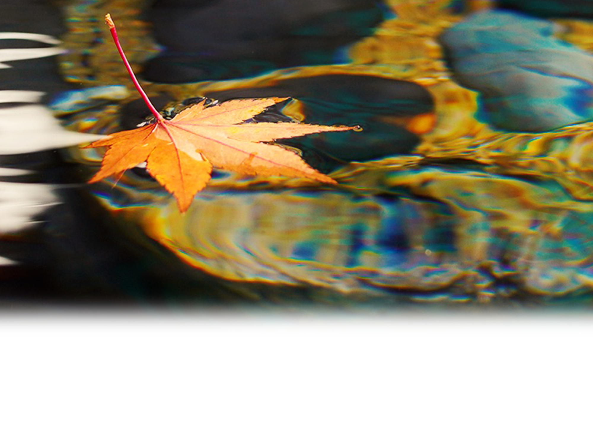 003.png